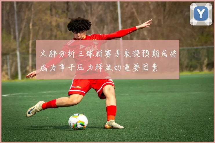 文胖分析三球新赛季表现预期或将成为华子压力释放的重要因素