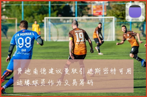 费迪南德建议曼联引进斯密特可用边缘球员作为交易筹码